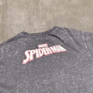 Marvel Spider-Man Comic Cover Graphic Tee, Mineral Wash Grey, Men's Size L